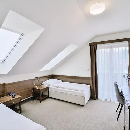 Hotel Drak 3*