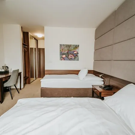 Drak 3* Liptowski Mikułasz