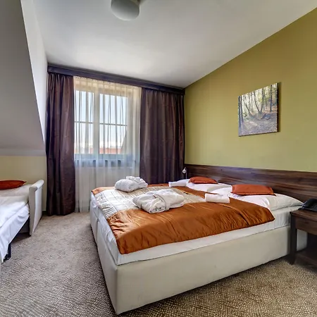 Drak 3* Liptowski Mikułasz