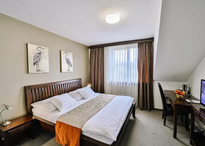 Drak Liptovský Mikuláš